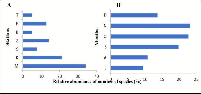 Comparison relative abundance percentage of sample number of flatfish species A) for each station and B) for each month from July to December 2017.