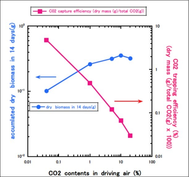 CO2 capture efficiency vs. CO2 content in the feeding air. Desmodesmus sp. works with highest efficiency in CO2 content around 0.04%.