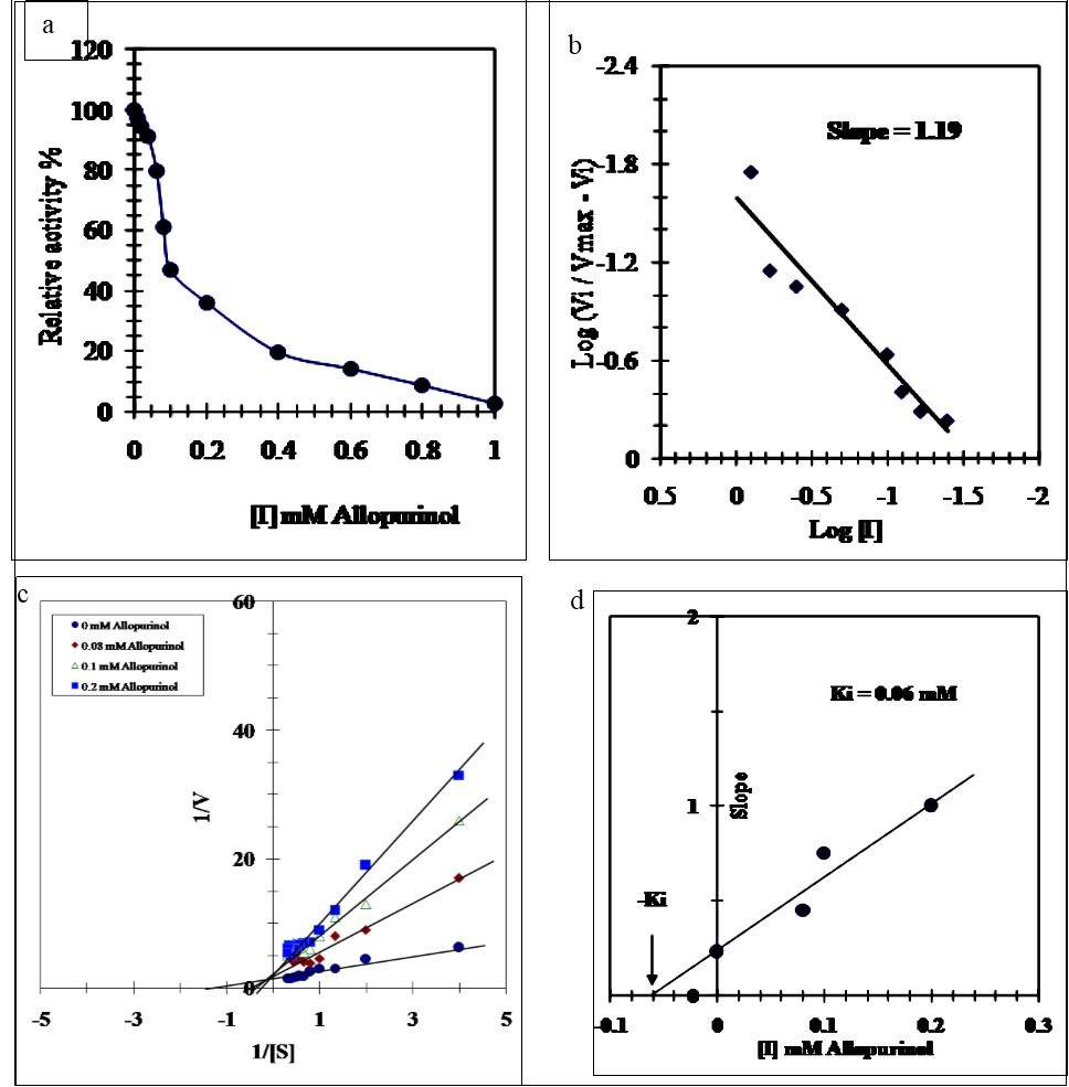 (a) Titration curve for inhibition of the purified SLXO by varying concentrations of allopurinol. (b) Hill plot for inhibition of the purified SLXO by varying concentrations of allopurinol. (c) Lineweaver-Burk plots showing the type of inhibition of the purified SLXO by allopurinol. (d) Determination of the inhibition constant (Ki) value for the inhibition of the purified SLXO by allopurinol.