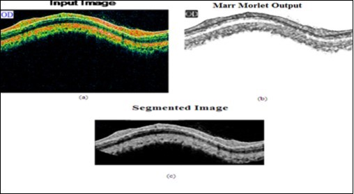 (a) input image (b) Marr-Morlet output (c) segmented image