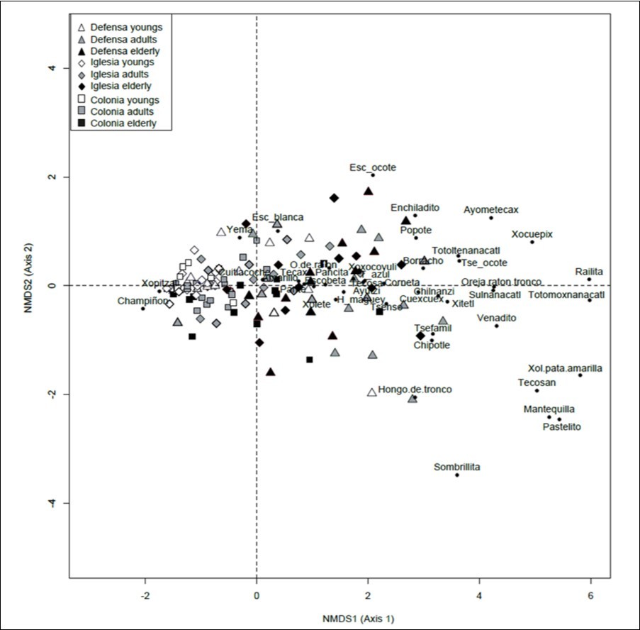 Non-metric multidimensional scaling (NMDS) that shows the distribution in the axis of the inhabitants of the different areas of SPT, according to their age category and its relationship with the regional diversity of mushroom. Triangles represent people from La Defensa, the diamonds to La Iglesia and squares to people of La Colonia. White makes reference to young people, gray to adults and black to older adults. The solid round dots allow to locate the ethnotaxa.
