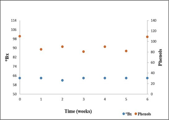 Behavior of phenols (mg AG/mL) and °Bx of cashew marmalade during 6 weeks.