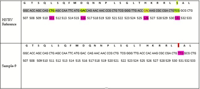 Nucleotide sequence aligned with gi|448814763:759807-763325 M tuberculosis H37Rv, reference sequence for screening of rpoB gene mutations out of which only sample-9 shows mutation at codon 531.