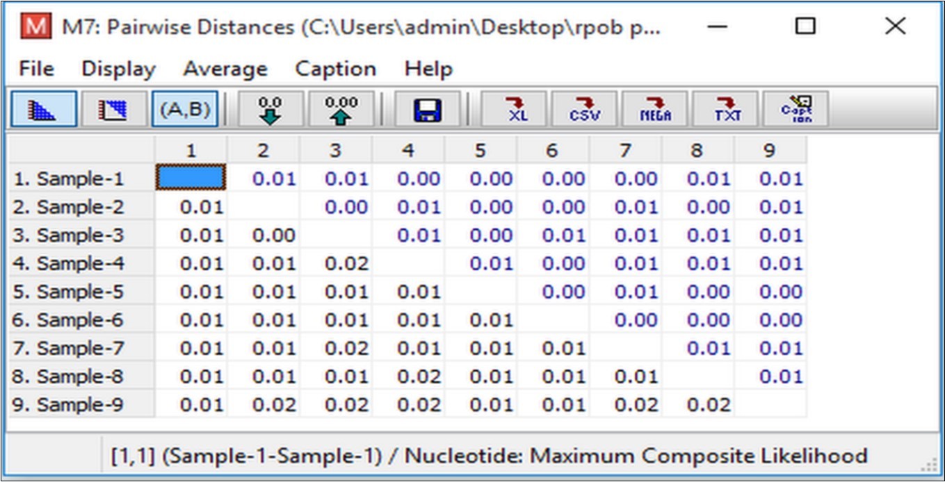 Estimates of evolutionary divergence between sequences