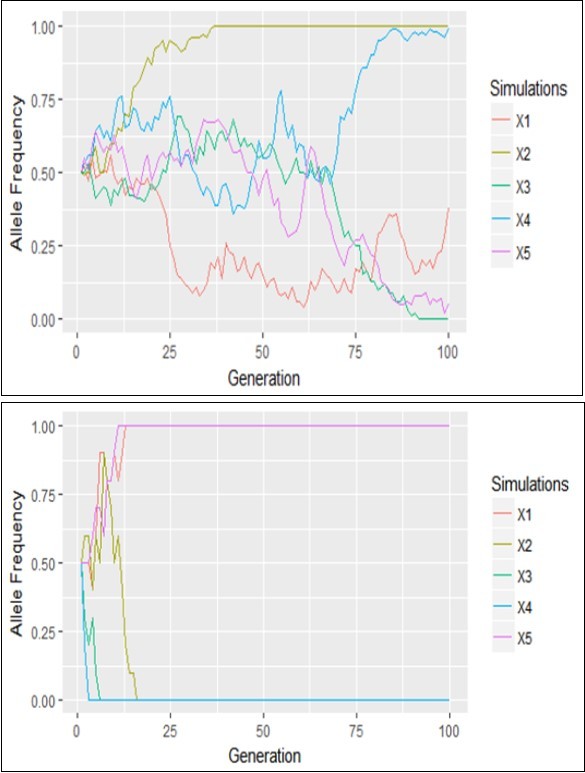 Genetic drift of the process based on the Wright-Fisher’s model when N=5 left and N=50 right