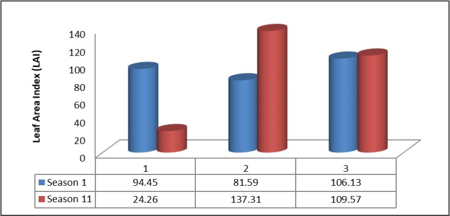Effect of sowing date on Leaf Area Index (LAI.)- Khartoum-Sudan (2014/ 2015-2015/2016).