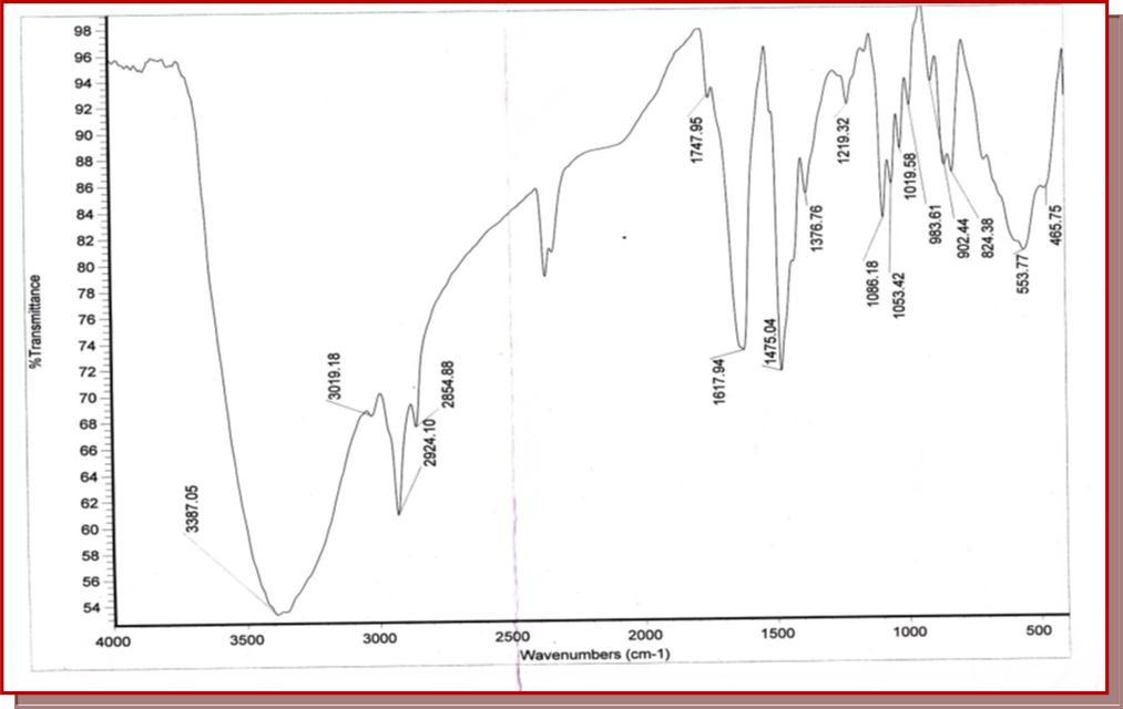 FT-IR Spectra of Polymer anchored metal complexes