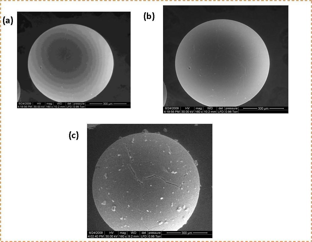 SEM images of (a) Poly(S-DVB-) (b) Poly(S-DVB-DMG) (C) Poly(S-DVB-DMG-Cu) Complex