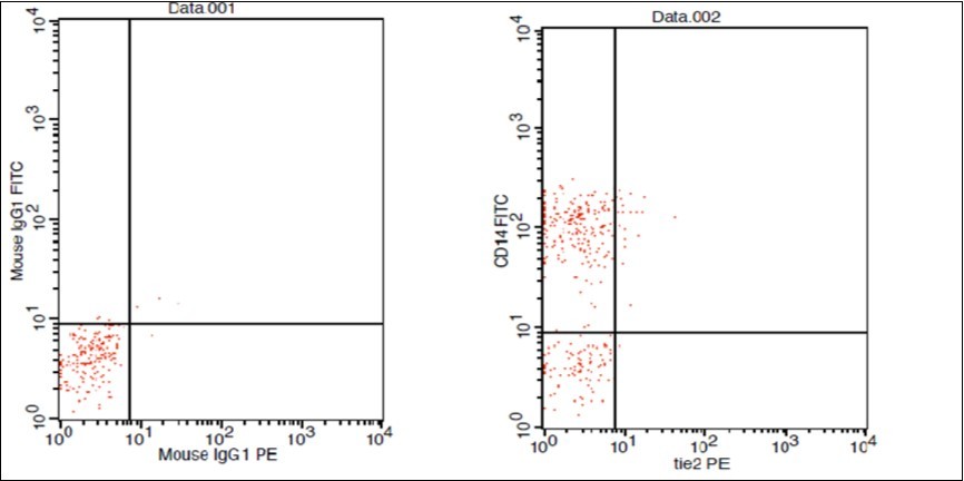 D. Normal control CD 14 & Tie2 co expression 2% & isotopic control.