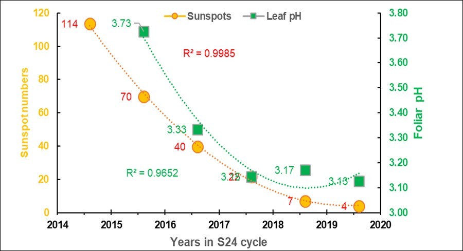Plot of the sunspots 9 and the average foliar pH of the six grapevines over the five years of the 24th solar cycle (S24) and the parabolic fittings (r pearson 0.95; P 0.01).