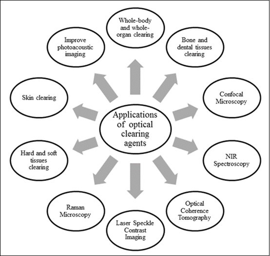 Main applications of optical clearing agents
