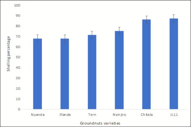 Shelling percentage of the different groundnuts varieties at maturity stage