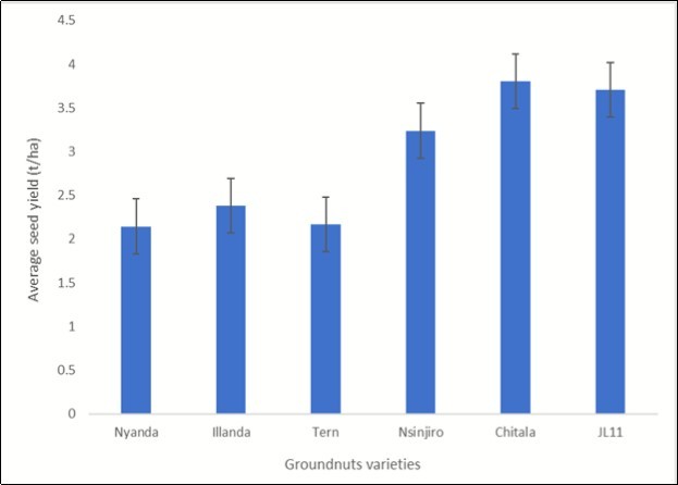 Average seed yield (t/ha) among the groundnuts varieties at physiological maturity stage