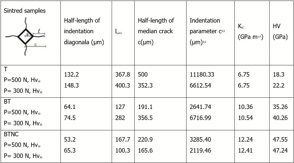 Data of Vickers indentation cracks and fracture toughness (KIC)