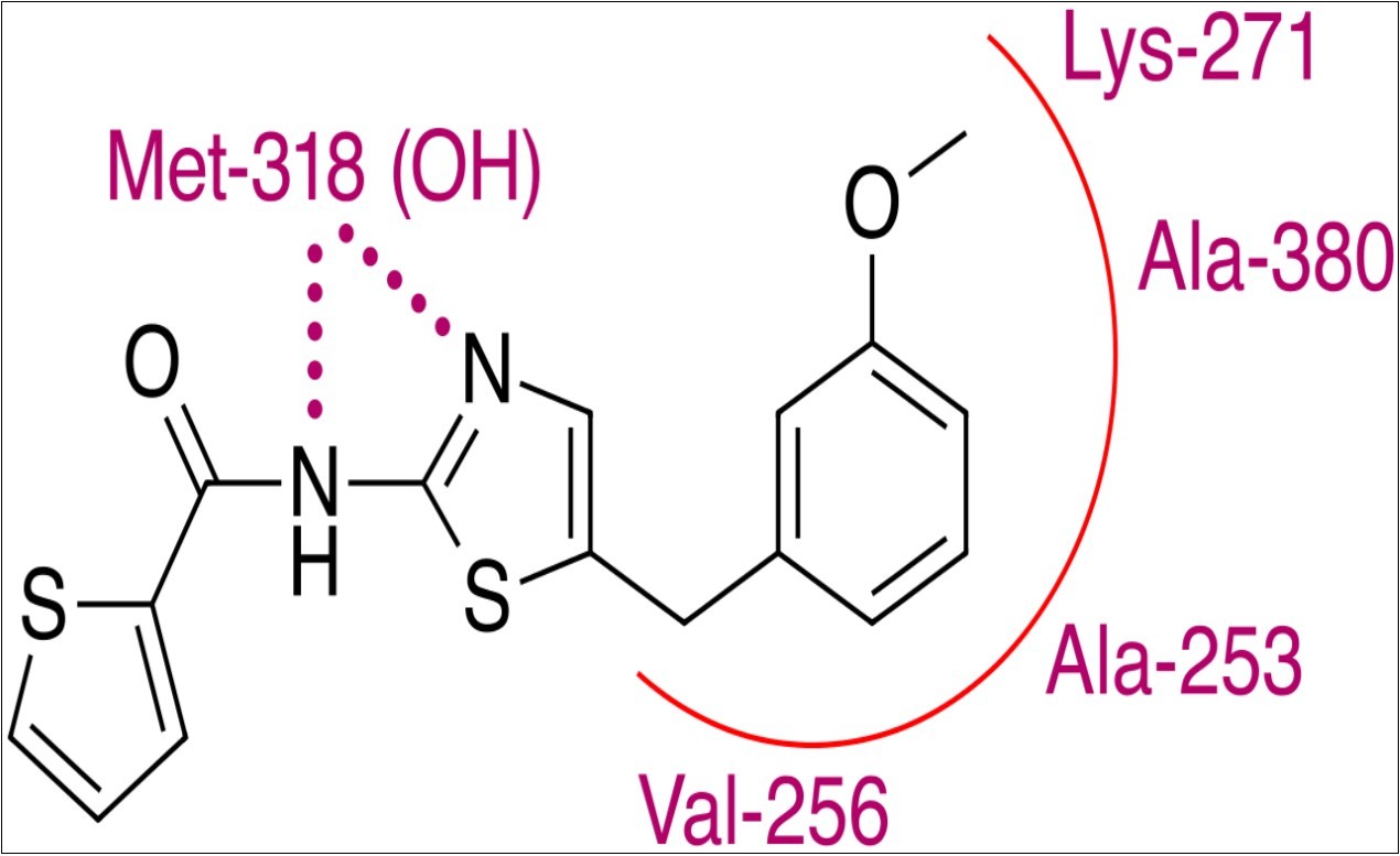Proposed binding site interactions of substance.