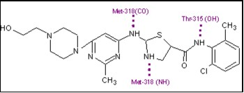 Dasatinib in its binding site.