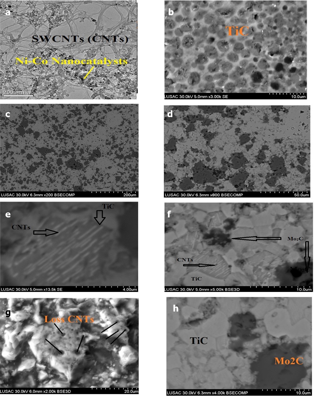 High magnification microstructural representative SEM image of MTC polished and etched surface for the sintered samples using a 20-mm diameter die. (a)-TEM of SWCNTs, (b)-SinteredTiC grains, (c)-Nanocompositesoverview, (d)- nanocomposites overview with magnification, (e)-SWCNTs into the TiC grain, (f)-SWCNTs into the TiC grains ,(g)-Pore like structure of losses SWCNTs , (h)-Nanocomposites overview with higher magnification.