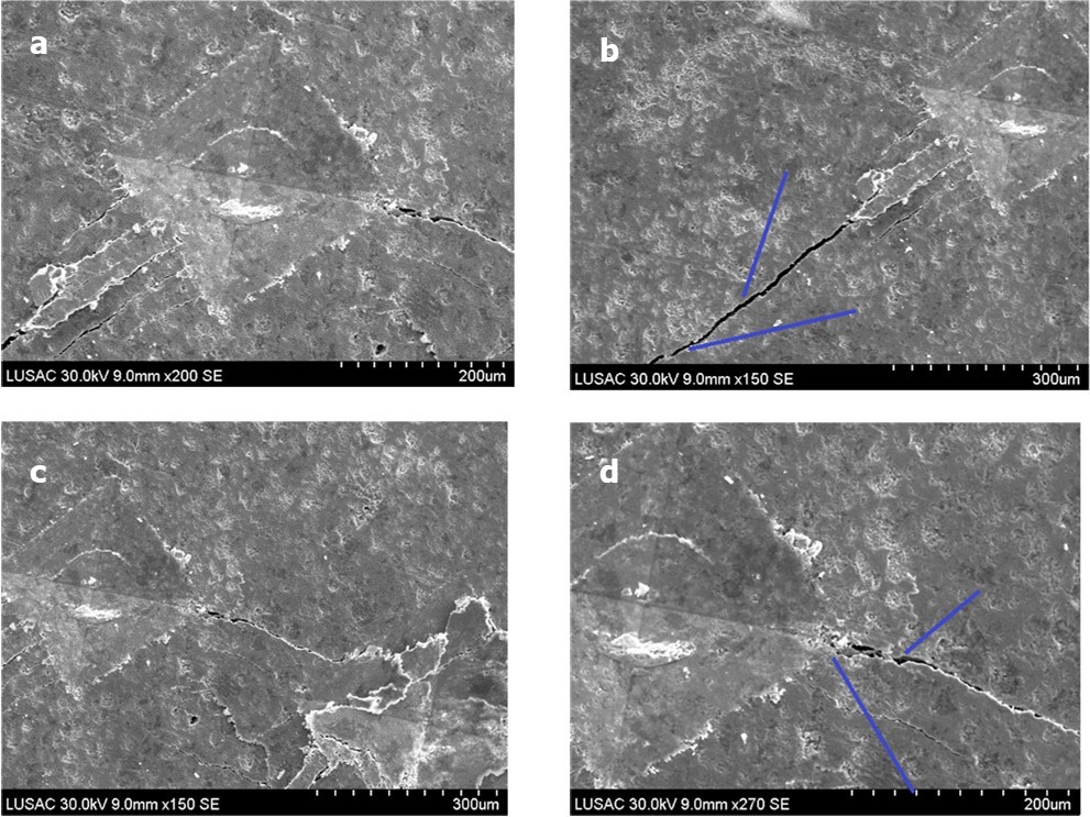 SEM, BSE micrograph of cracks at the corners of Vickers indents: of etched MTC showing a purely transgranular crack growth; and revealing an intergranular crack with deflection and crack bridging: (a)-Transgranular crack, (b)- Intergranular crack, (c)- Crack deflection, d- Crack bridging