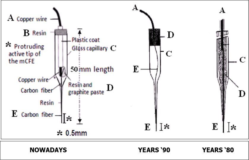 schematic representation of the evolution upon time of the manufacture of the carbon fiber micro electrode used as working electrode for voltammetry. A: is the conductive wire, B: resin alone or D: mixed with graphite paste. E is the carbon fiber that can vary between 6, 7, 10, 30 μm diameter. * is the protruding tip of the carbon fiber from the glass capillary (C). The length of the tip can vary from 0.1mm up to 1- 2mm in function of the size of the brain area monitored or the biological tissue analyzed, i.e. aortic(11), gastric tissue (12) (modified from ref 5 with permission).