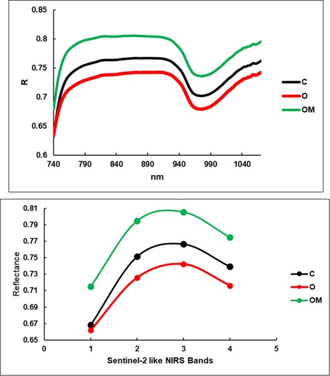 Average reflectance spectra of the leaves, upper face.