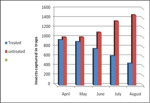 Spinosad efficiency against fruit flies in Shendi area (2014)