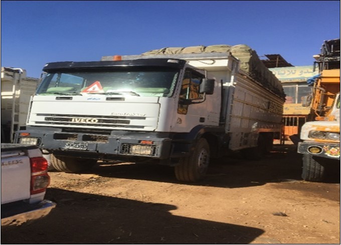 Iveco Euro Trakker (2004)