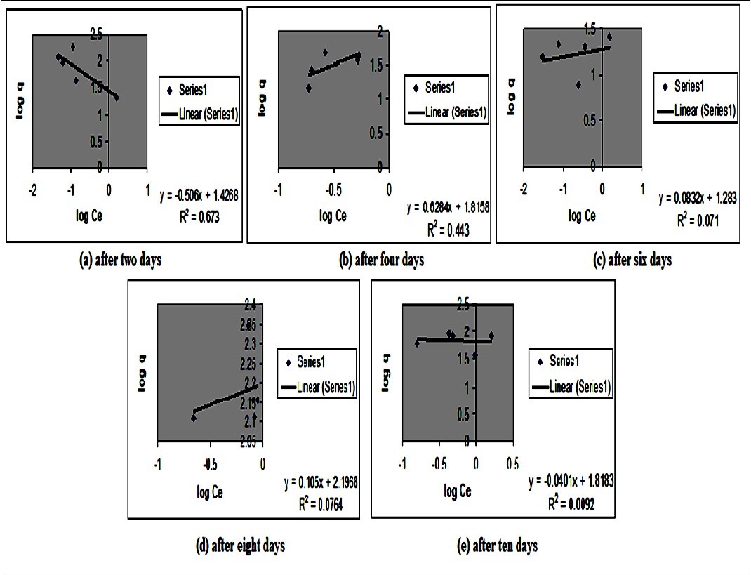 Freundlich isotherm for lead biosorption by Bacillus subtilis after different days of treatment