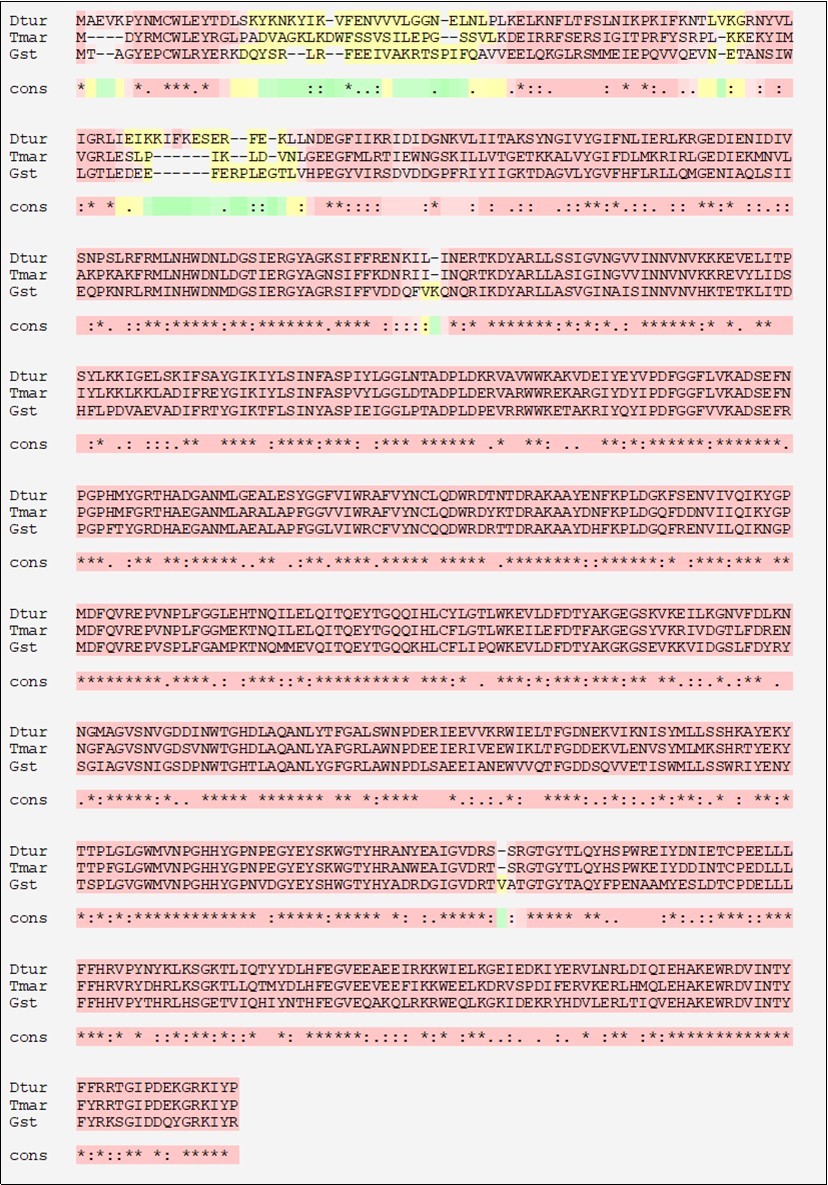 Sequence alignment of DtuAgu, TmarAgu and GstAgu