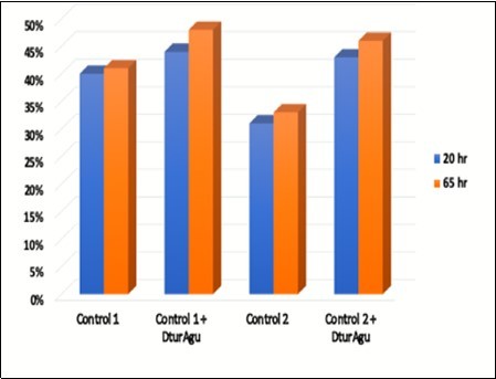 AFEX Corn Stover conversion