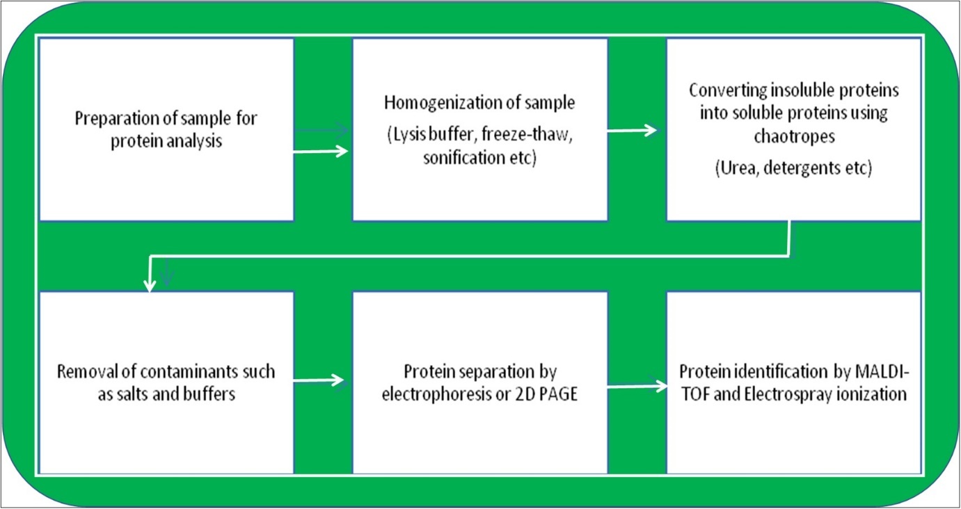 Methodology of Proteomic analysis.
