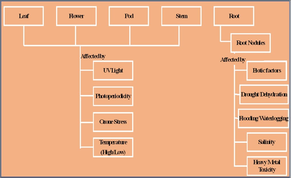 Stress response-based organ specific proteomics