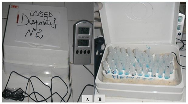 Experimental device 2 designed to substitute the room temperature provider. Device 2 seen from the outside (A) and from inside (B), composed of a plastic, hermetic and opaque box of size 22cm x 14cm x 8cm containing an ice pack.