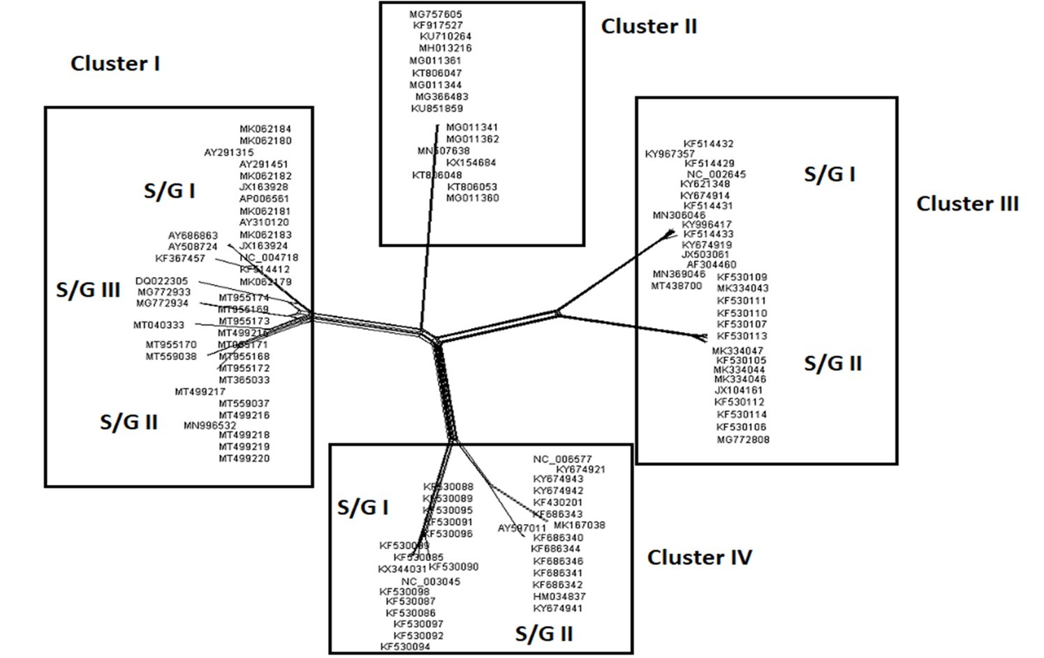 Networked phylogenetic relationships among 115 coronavirus species accessions which split into four clear-cut distinct clusters subdivided into subgroups (except cluster II).