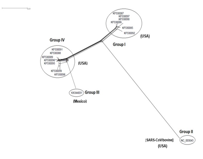 NeighborNet for 16 sequences of spike glycoprotein-coding gene of coronaviruses lineages of HCoV/OC43 belonging to cluster IV (subgroup I). The networked relationships indicate the presence of reticulate events. Boxes imply likelihood of recombination. The phylogenetic network constructed, using SplitsTree4 software, delineated seven distinct clusters. The scale bar shows the number of substitution per nucleotide.