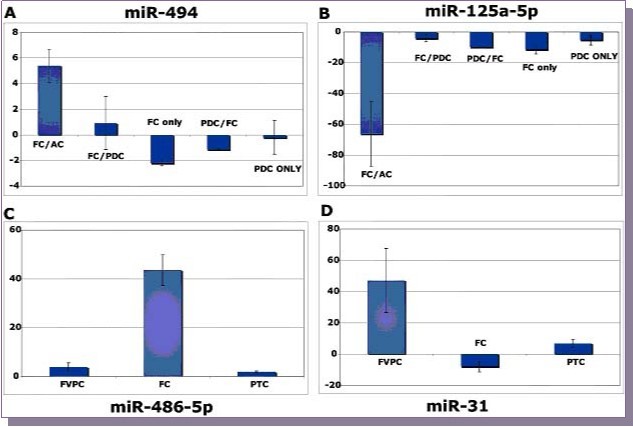 qRT-PCR studies in replicates (Fold change values normalized to normal thyroid tissue) are shown. Differential regulation of miR-494 (A) and miR-125a-5p (B) in follicular carcinoma in the background of either anaplastic carcinoma (FC/AC) or poorly differentiated carcinoma (FC/PDC) along with follicular carcinoma (FC) and poorly differentiated carcinoma (PDC) only samples and poorly differentiated carcinoma in the background of follicular carcinoma (PDC/FC). Differential regulation of miR-486-5p (C) and miR-31 (D) in Follicular carcinoma only sample as compared to follicular variant of papillary thyroid carcinoma and poorly differentiated carcinoma.
