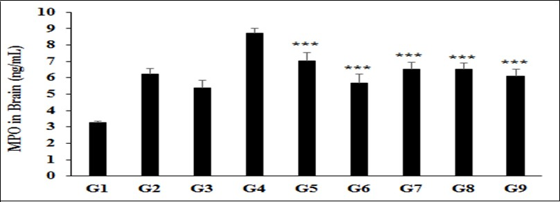 The effect of the test formulation on the level of brain myeloperoxidase (MPO) in Sprague Dawley rats. G1 as normal control (vehicle, 0.5% w/v CMC-Na); G2 as disease control (Cecal Slurry, LPS and E. coli + 0.5% CMC-Na); G3 as reference item (Cecal Slurry, LPS and E. coli + Dexamethasone); G4 includes Cecal Slurry, LPS and E. coli along with untreated test formulation; G5 as Cecal Slurry, LPS and E. coli along with the Biofield Energy Treated test formulation; G6 group includes Cecal Slurry, LPS and E. coli along with Biofield Energy Treatment per se to animals from day -15; G7 as Cecal Slurry, LPS and E. coli along with the Biofield Energy Treated test formulation from day -15; G8 group includes Cecal Slurry, LPS and E. coli along with Biofield Energy Treatment per se plus the Biofield Energy Treated test formulation from day -15, and G9 group denoted Cecal Slurry, LPS and E. coli along with Biofield Energy Treatment per se animals plus the untreated test formulation. Values are presented as mean ± SEM (n=6-9). ***p≤0.001 vs. G4.