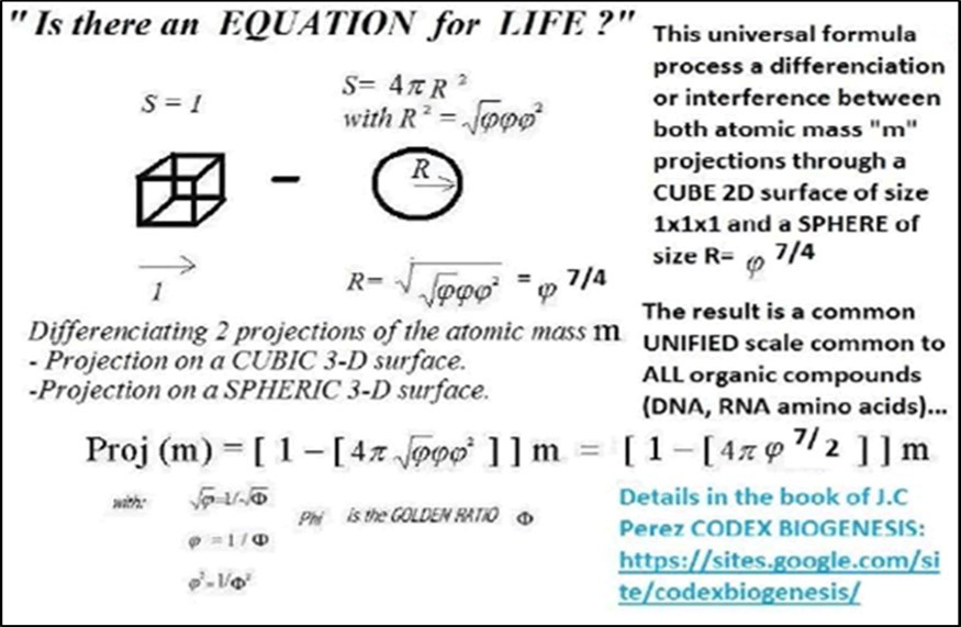 Geometric meaning of the formula for life numerical projection