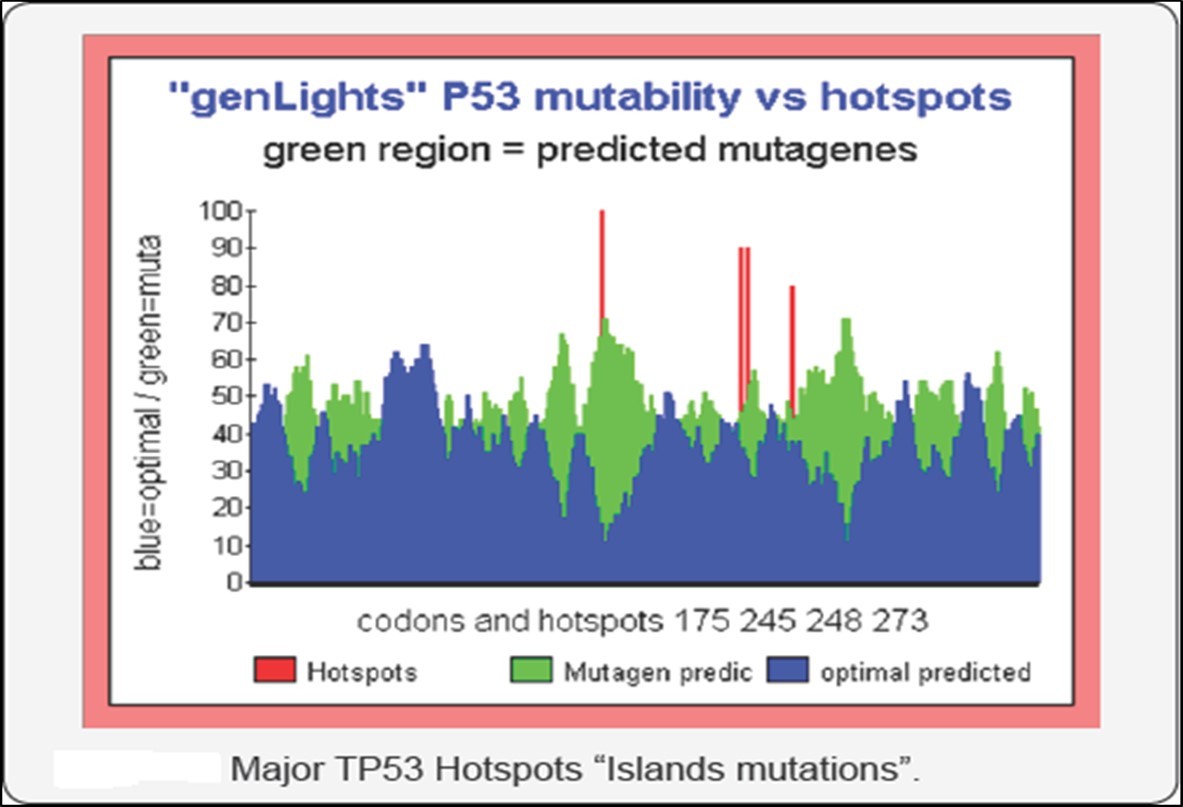 Predicting individual codons mutability potential in TP53 tumor suppressor