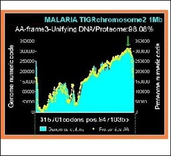 illustration of the high correlation coupling between genomics and proteomics images of a complete MALARIA chromosome (98.08% correlation).
