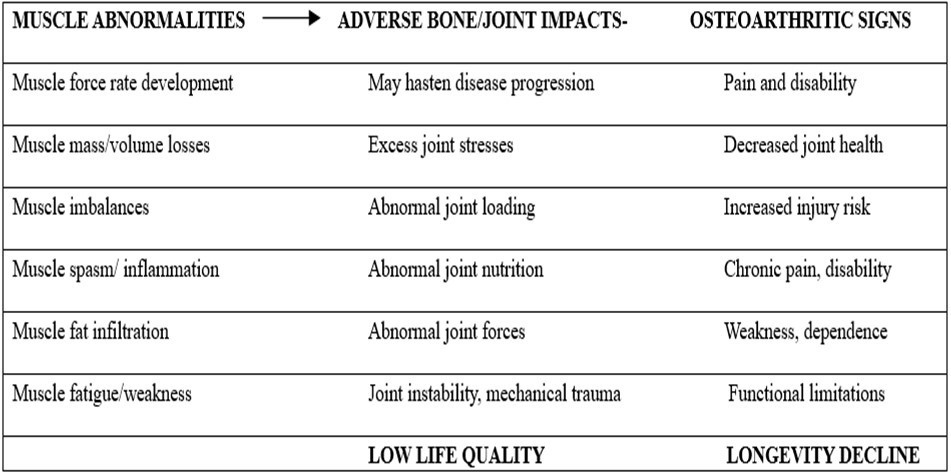 Schematic representation of some anticipated muscular abnormalities and their impacts and outcomes in the presence of muscle weakness and other forms of muscle dysfunction coupled with the absence of efforts to identify and mitigate these attributes specifically and in a targeted manner Adapted from references 9