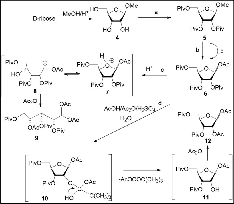 Study of acetolysis reaction of pivaloylated methyl D-ribofuranoside 5 and proposed mechanism for the formation of the diacetate 12. Reagents and conditions: a) ref. 21, 89%; b) AcOH, Ac2O, H2SO4 (12.6:1.6 :1.0, vol), 5.2% H2SO4, rt, 3-4 h, 6, 20-41%; 12, 21-45%; c) AcOH, Ac2O, 9.6% H2SO4 (8.0:1.3:1.0, vol), 24 h, rt, 6, 68%; 9, 10%; d) AcOH, Ac2O, H2SO4 (8.05:1.0:1.1, ratio), 10.0% H2SO4 rt, 5 h, H2O, 90 min, 12, 72%;