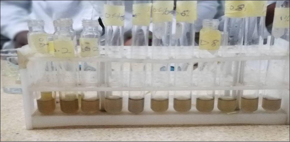 Alpha amylase inhibitory assay