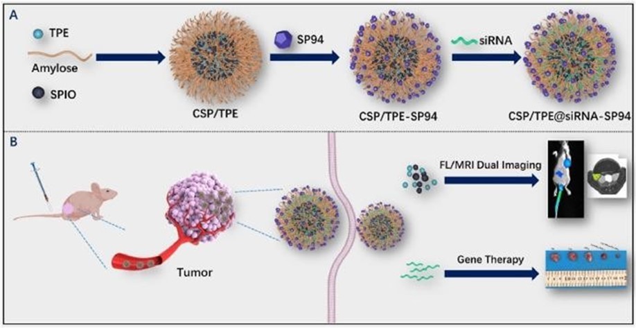 Schematic of different steps of CERN Large Hadron Collider (LHC) radiation source for magnetic resonance biospectroscopy in metabolic and molecular imaging and diagnosis of cancer.