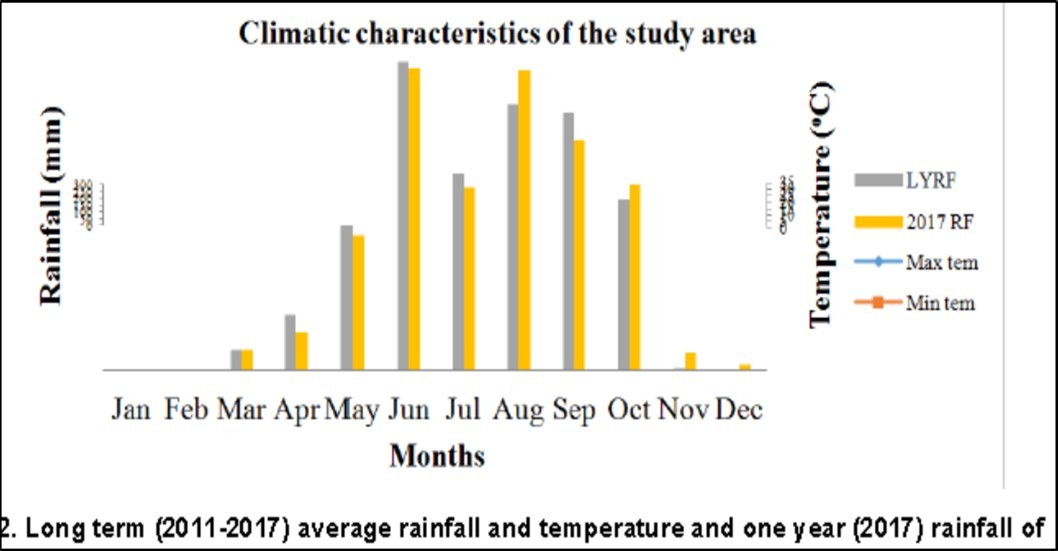 Long term (2011-2017) average rainfall and temperature and one year (2017) rainfall of Assosa, Western Ethiopia