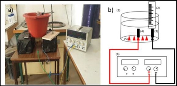 Experimental device: (1) reservoir, (2) test tube, (3) cathode, (4) anode, (5) alligator clip, (6) voltage generator.