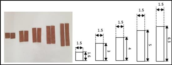 Heights of electrodes used.