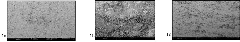 Plate 1- images of Aluminum surface after immersion at 27oC in acid.