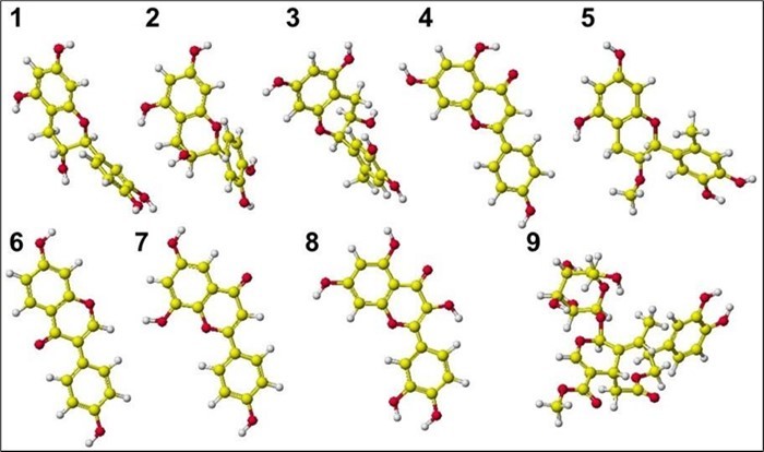 Chemical structure of polyphenols, 1: (-) Catechin, 2: (+) Catechin, 3: (-) Epicatechin, 4: Apigenin, 5: Apigetrin, 6: Daidzein, 7: Genistein, 8: Quercetin, 9: Oleuropein; Red (black), yellow (gray), and white balls are oxygen, carbon, and hydrogen.