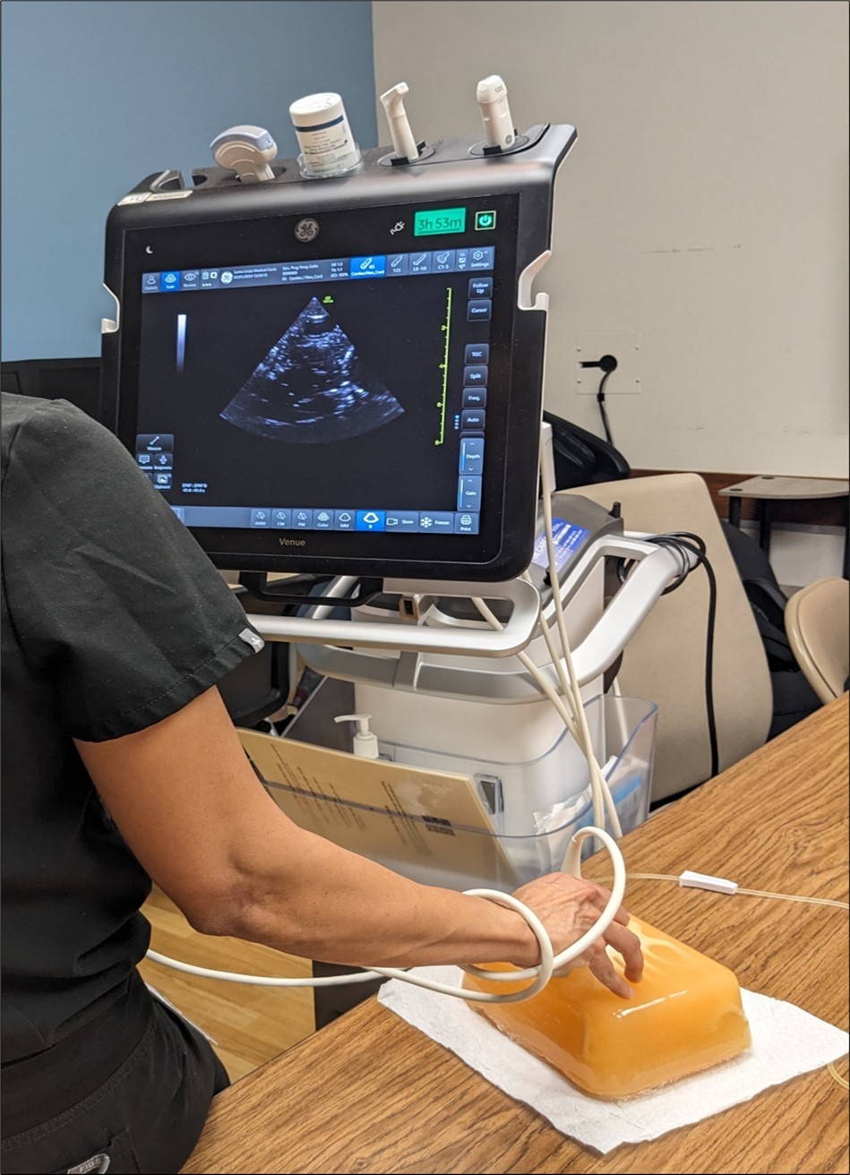 The red arrow indicates the right ventricle and the green arrow indicates the pericardial effusion note that the fusion does not appear circumferential