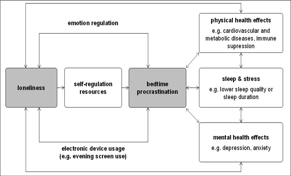 Conceptual model illustrating the relationship between loneliness and BP